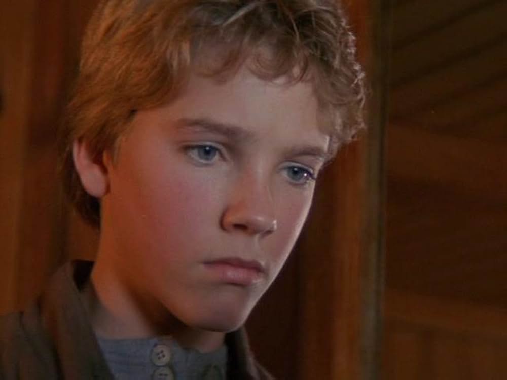 冒険の島／海賊メリックをやっつけろ！の画像