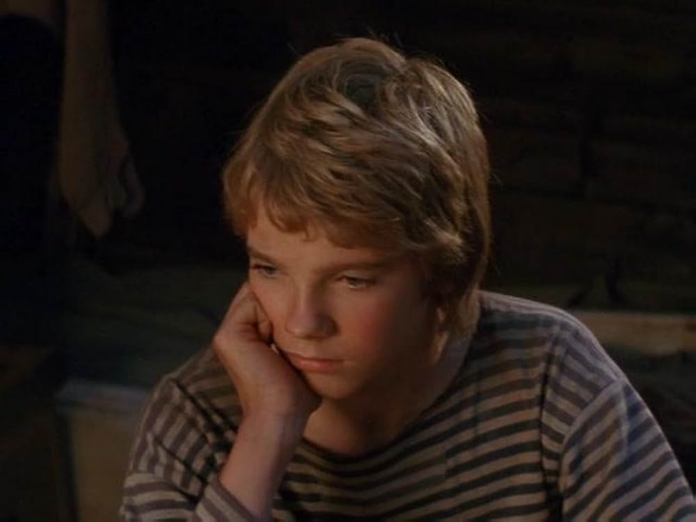 冒険の島／海賊メリックをやっつけろ！の画像