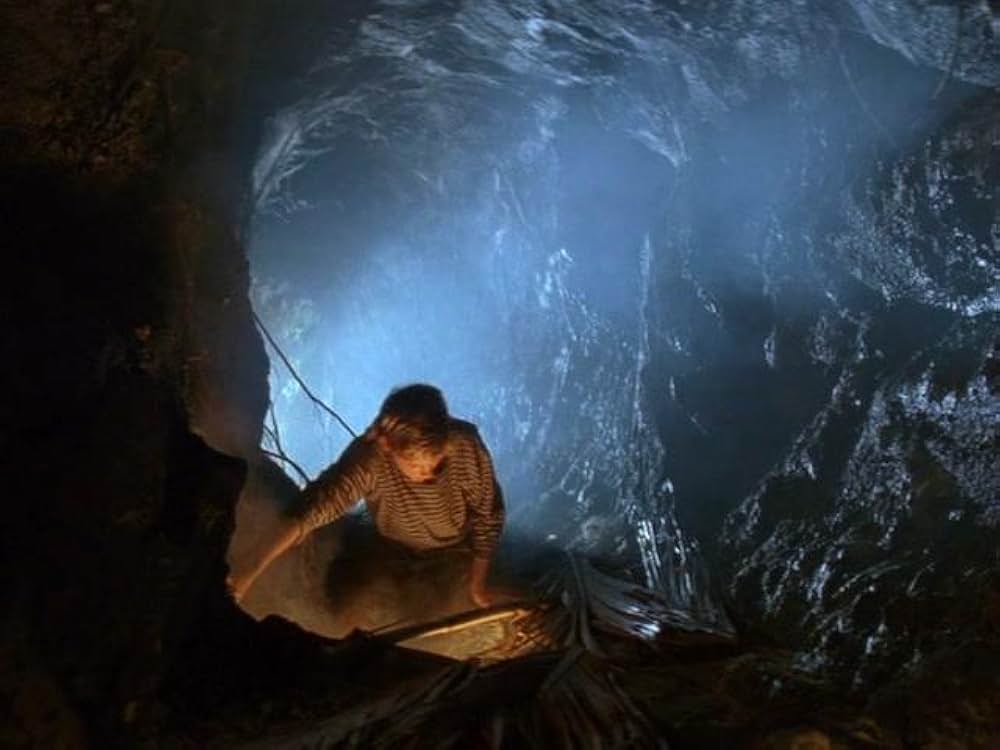 冒険の島／海賊メリックをやっつけろ！の画像