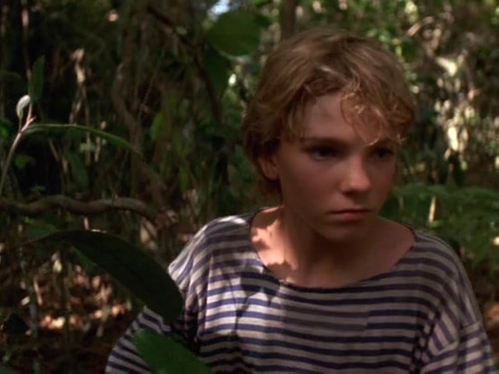 冒険の島／海賊メリックをやっつけろ！の画像