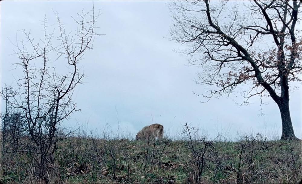 幸福なラザロの画像