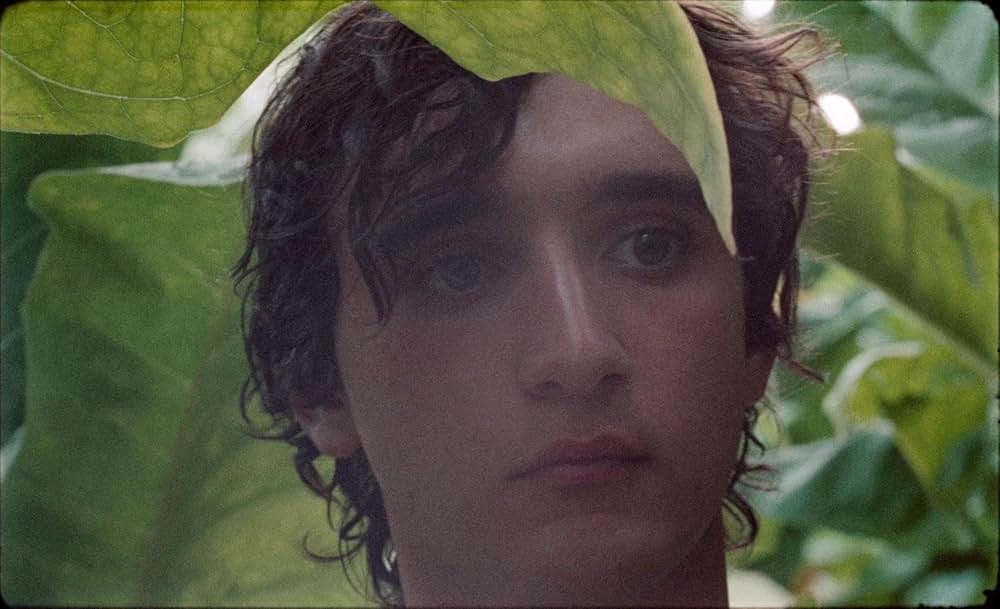 幸福なラザロの画像