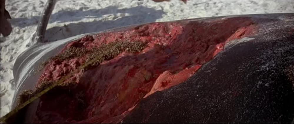 ジョーズ2の画像