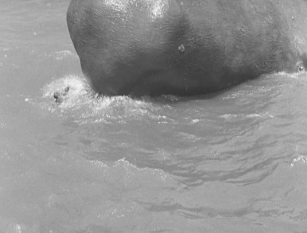 「海の巨人」の画像