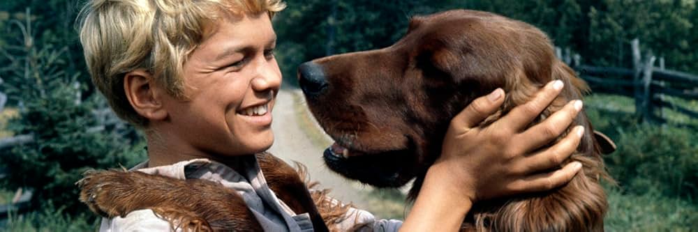 ビッグ・レッドの画像