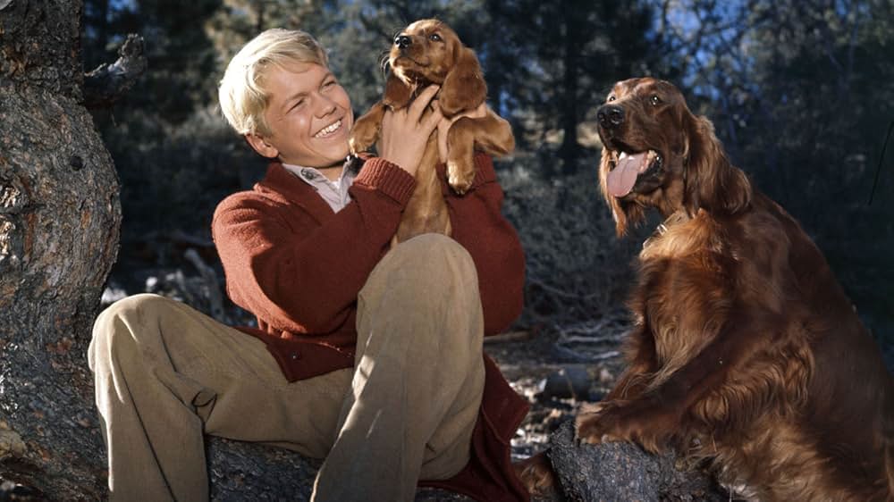 ビッグ・レッドの画像