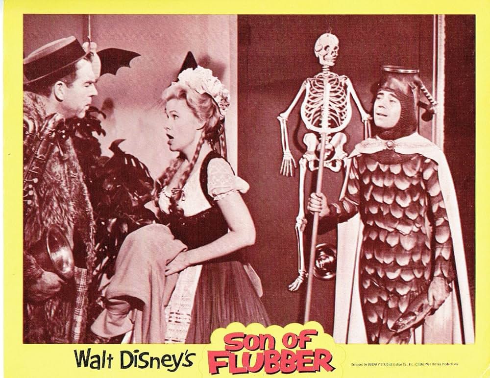 フラバァ・デラックスの画像