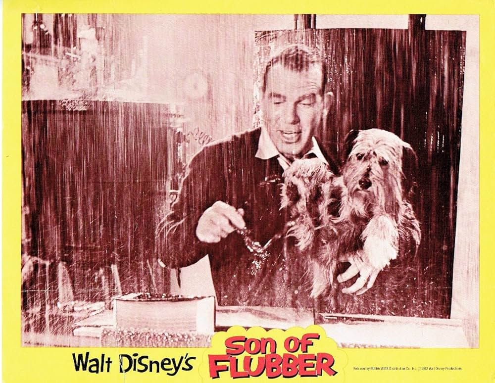 フラバァ・デラックスの画像