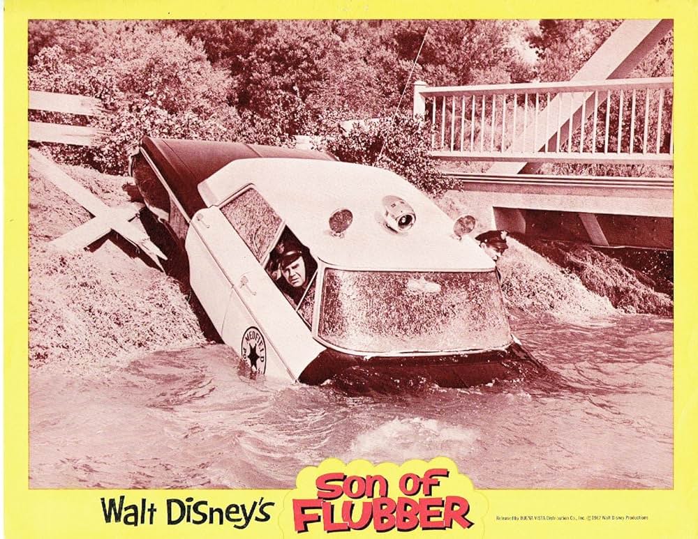 フラバァ・デラックスの画像