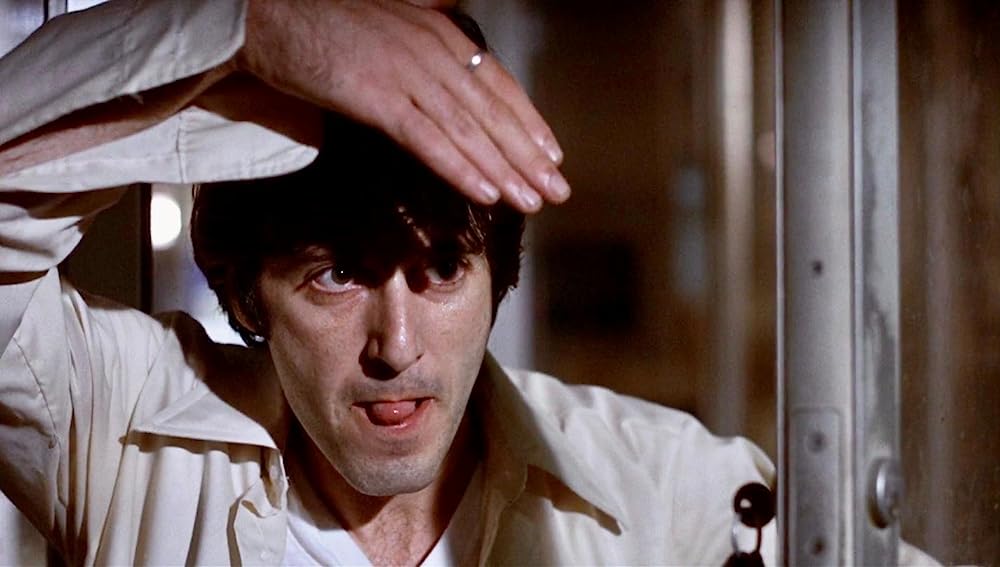 狼たちの午後の画像