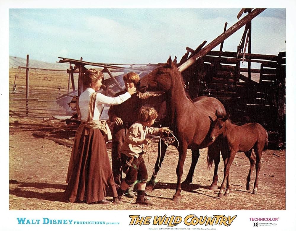 ワイルドカントリーの画像