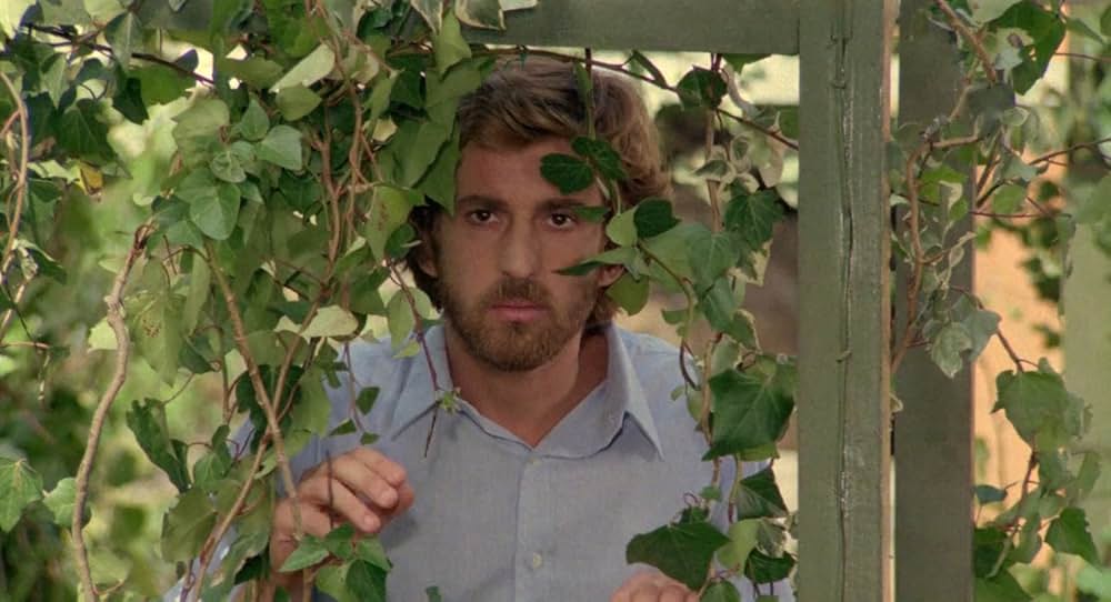 僕のビアンカの画像