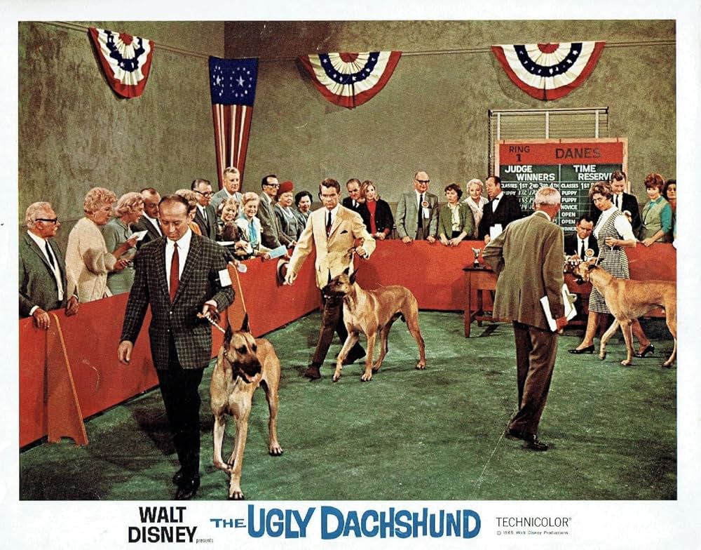 猛犬ご注意の画像