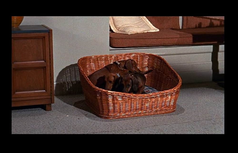 猛犬ご注意の画像