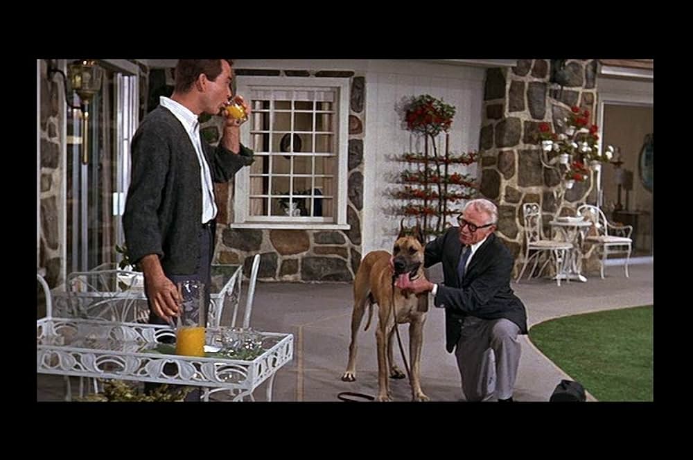 猛犬ご注意の画像