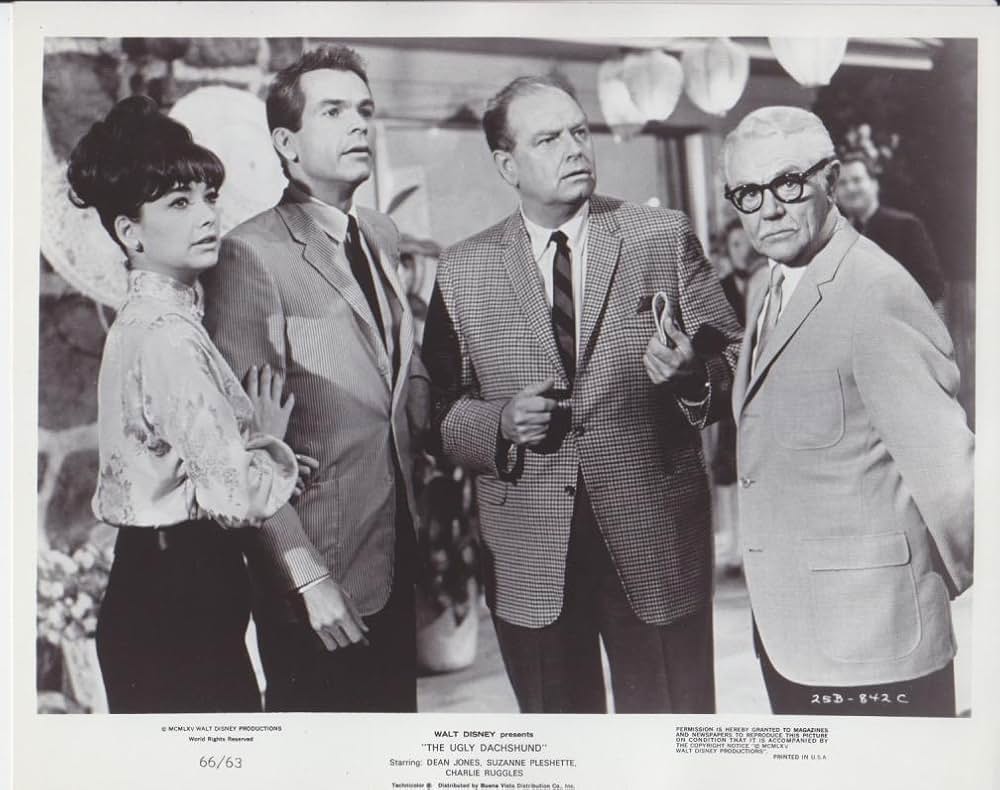 猛犬ご注意の画像