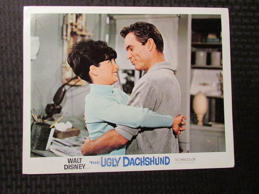 猛犬ご注意の画像