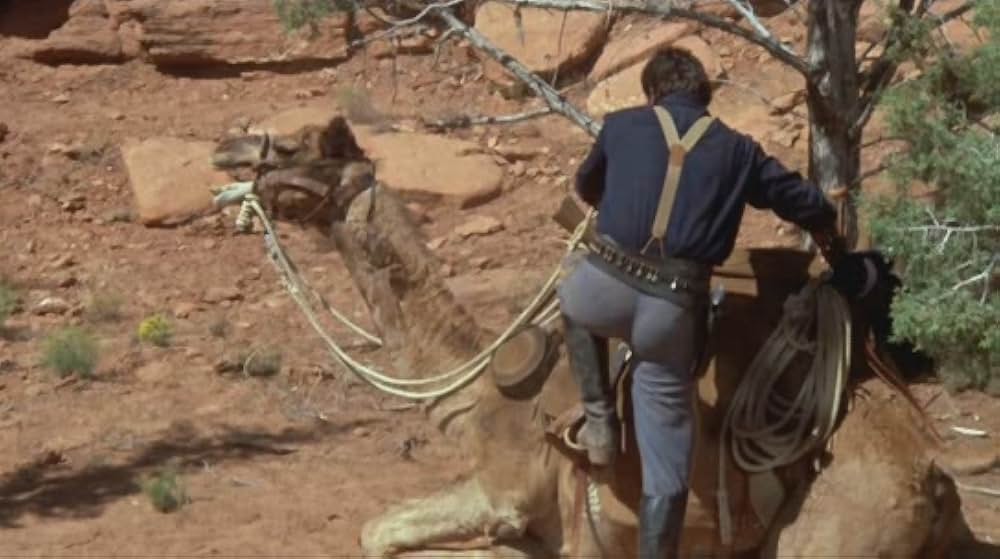 リトル・インディアンの画像