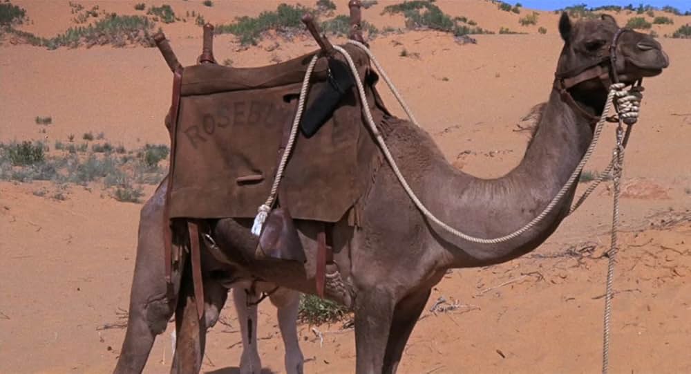 リトル・インディアンの画像