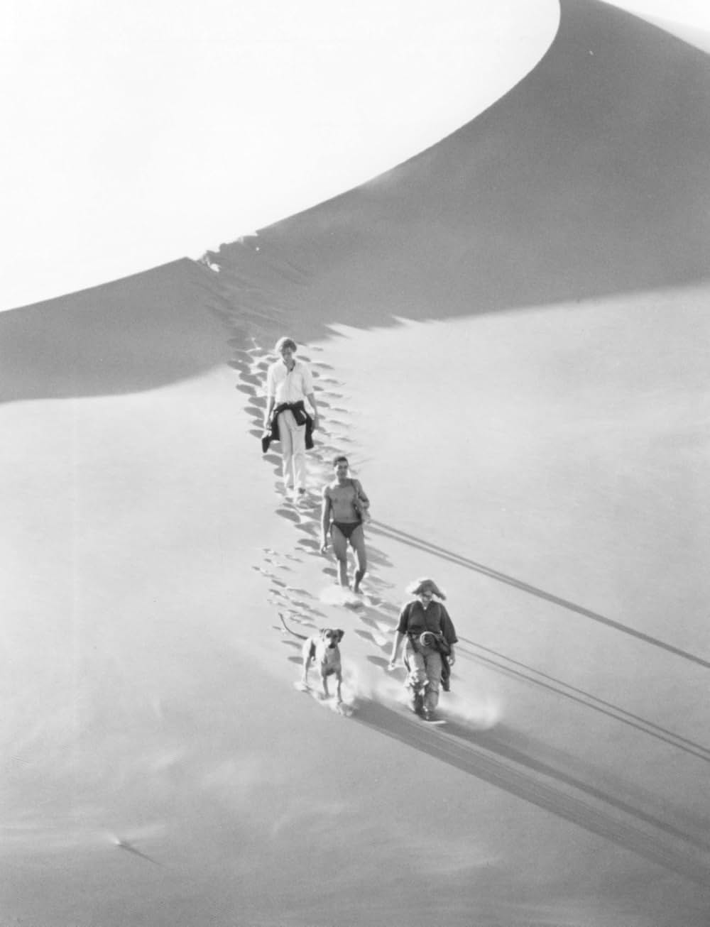 ラスト・ウィンド／少年達は砂漠を越えたの画像