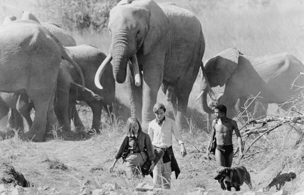 ラスト・ウィンド／少年達は砂漠を越えたの画像