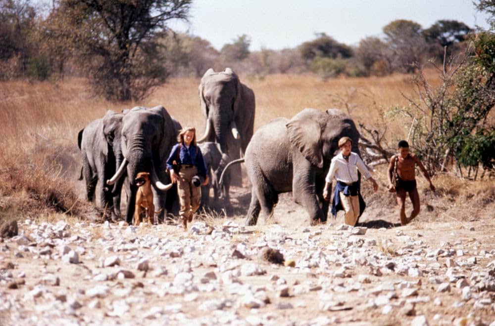 ラスト・ウィンド／少年達は砂漠を越えたの画像