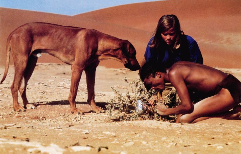 ラスト・ウィンド／少年達は砂漠を越えたの画像