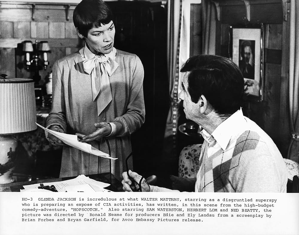 ホップスコッチ／或るエリート・スパイの反乱の画像