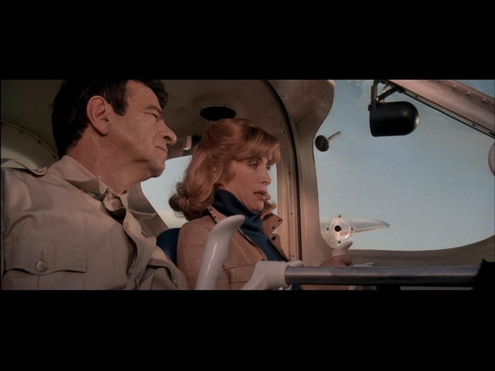 ホップスコッチ／或るエリート・スパイの反乱の画像