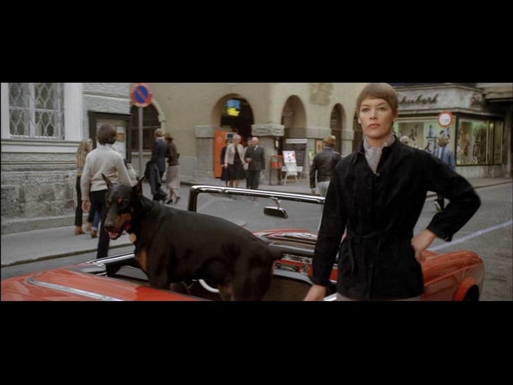 ホップスコッチ／或るエリート・スパイの反乱の画像