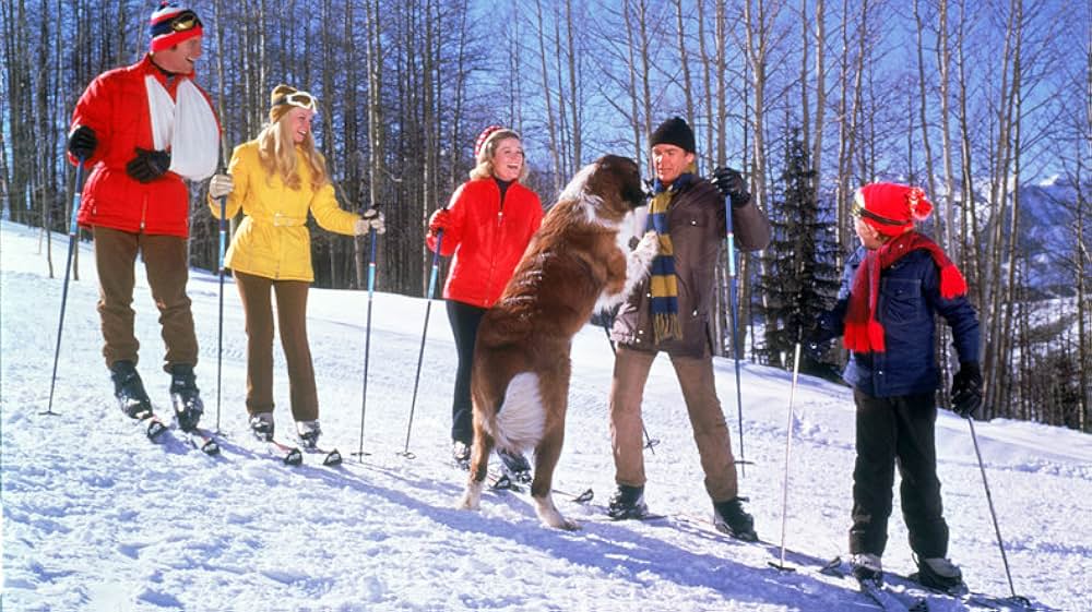 雪だるま超特急の画像