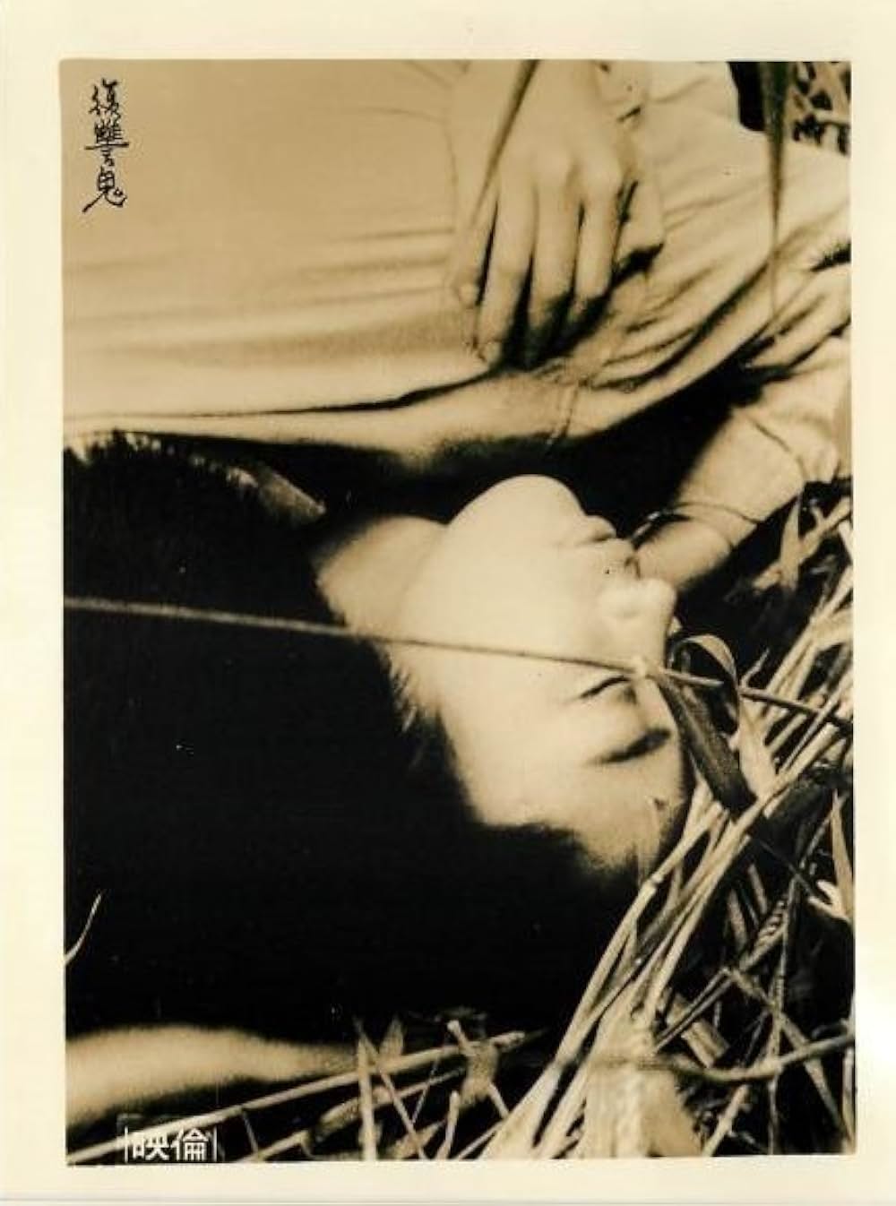 「復讐鬼」の画像