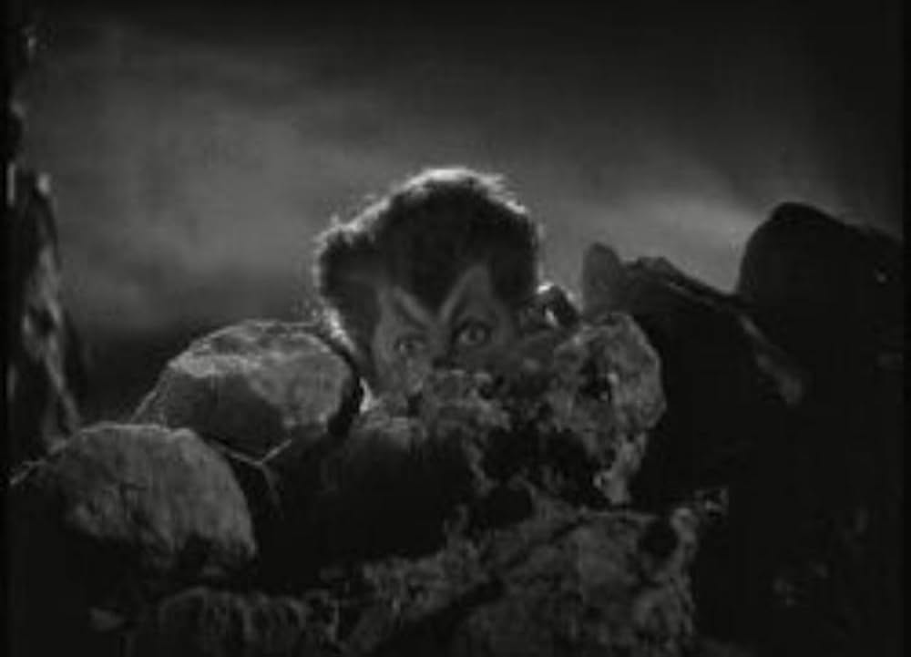 倫敦の人狼の画像