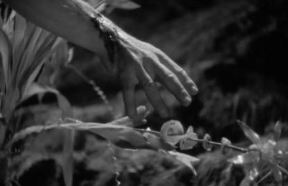 倫敦の人狼の画像