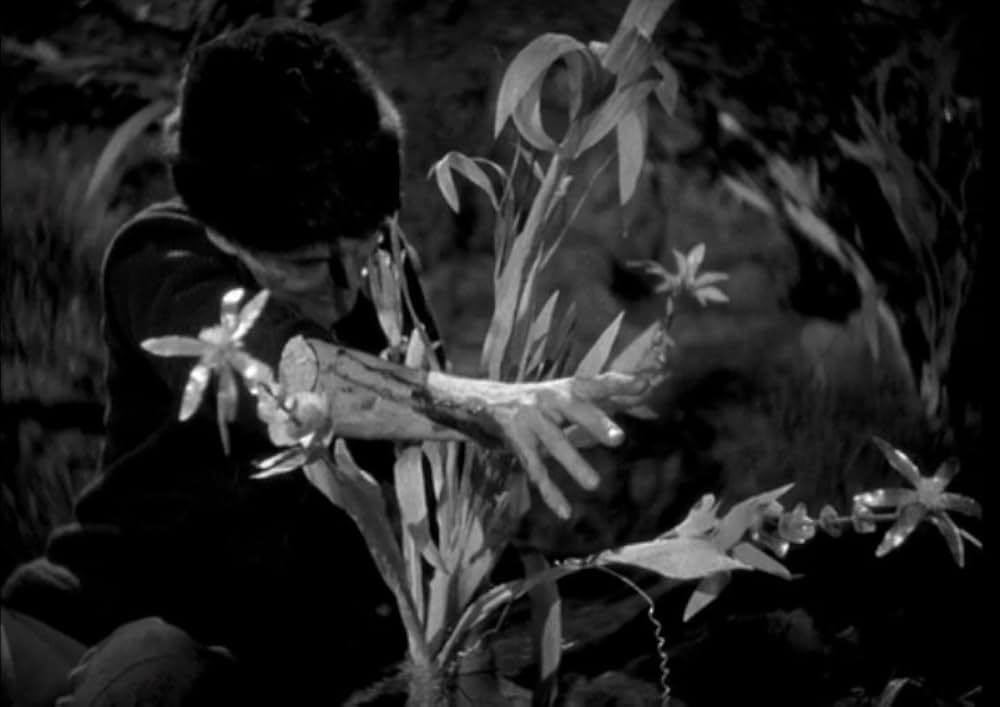 倫敦の人狼の画像