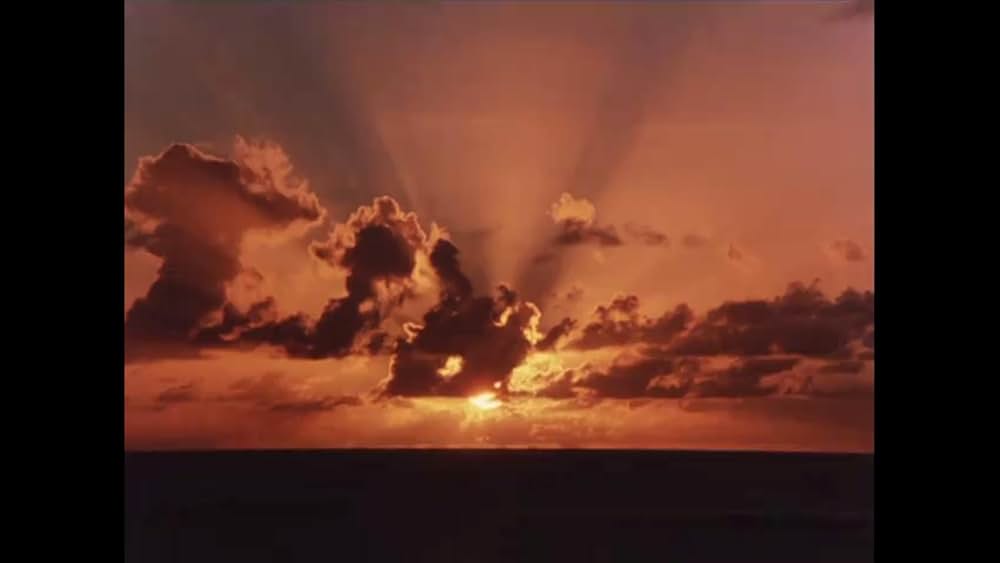 黄金のパートナーの画像