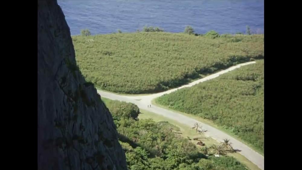 黄金のパートナーの画像