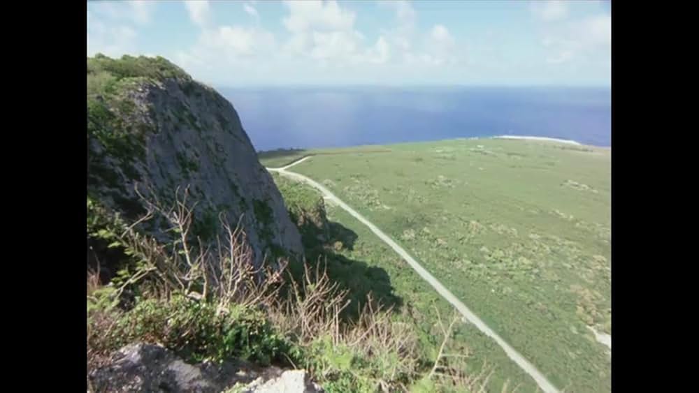 黄金のパートナーの画像