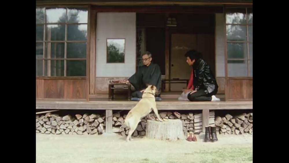 黄金のパートナーの画像