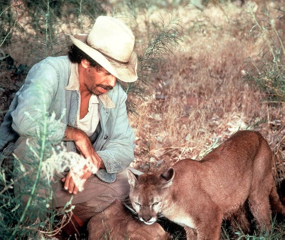 母親クーガーの一生の画像