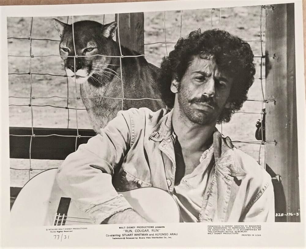 母親クーガーの一生の画像