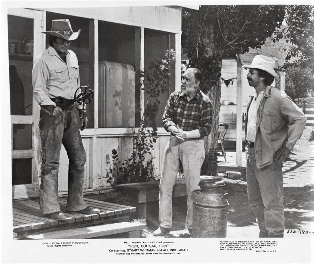 母親クーガーの一生の画像