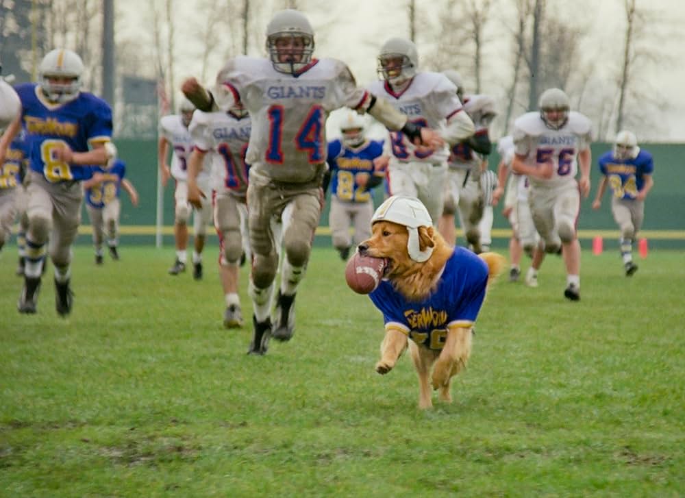 エア・バディ2の画像