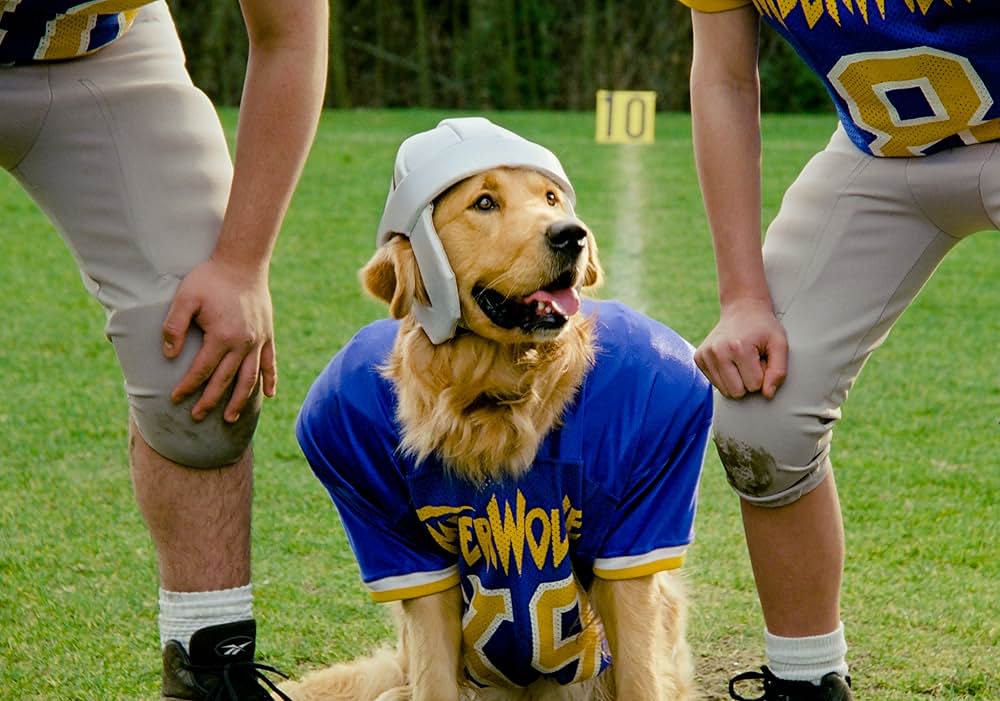 エア・バディ2の画像