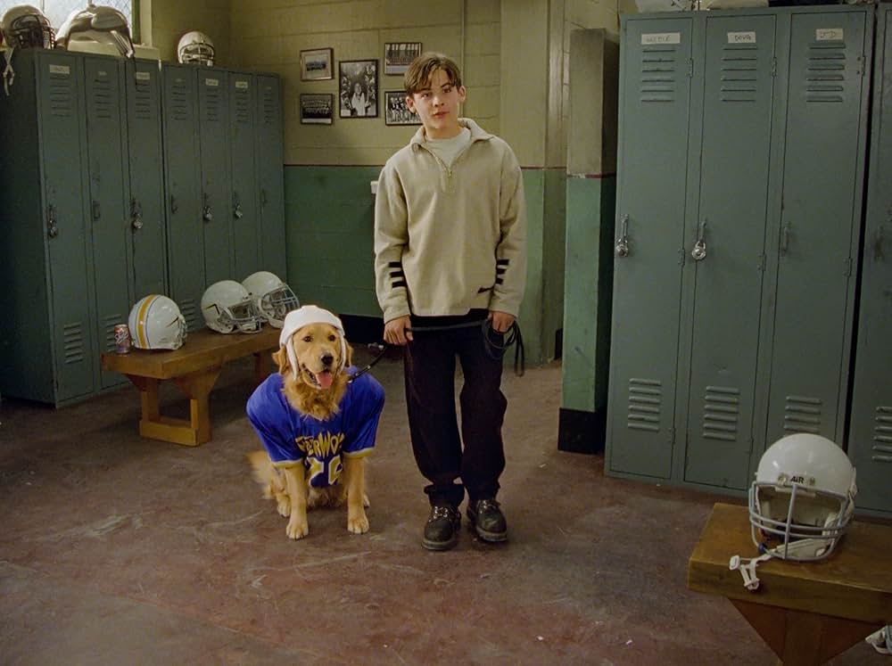 エア・バディ2の画像