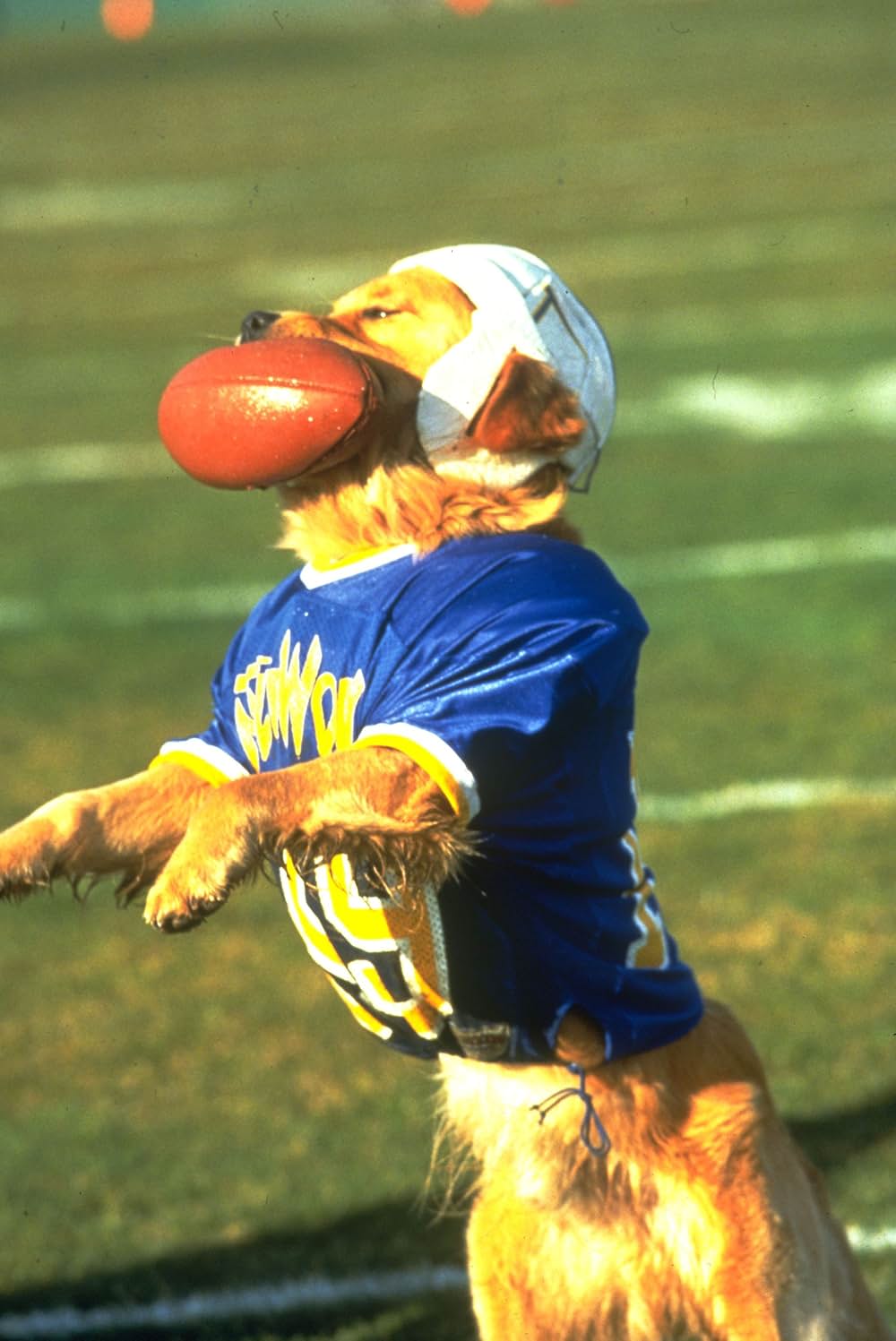 エア・バディ2の画像