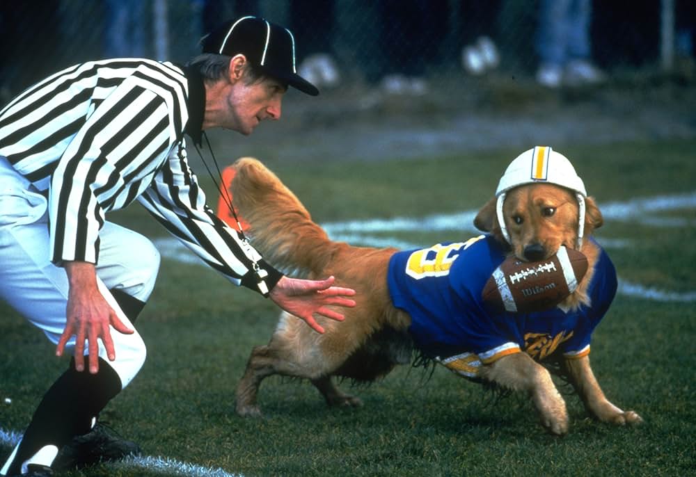 エア・バディ2の画像