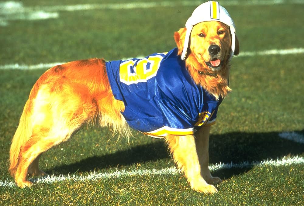 エア・バディ2の画像