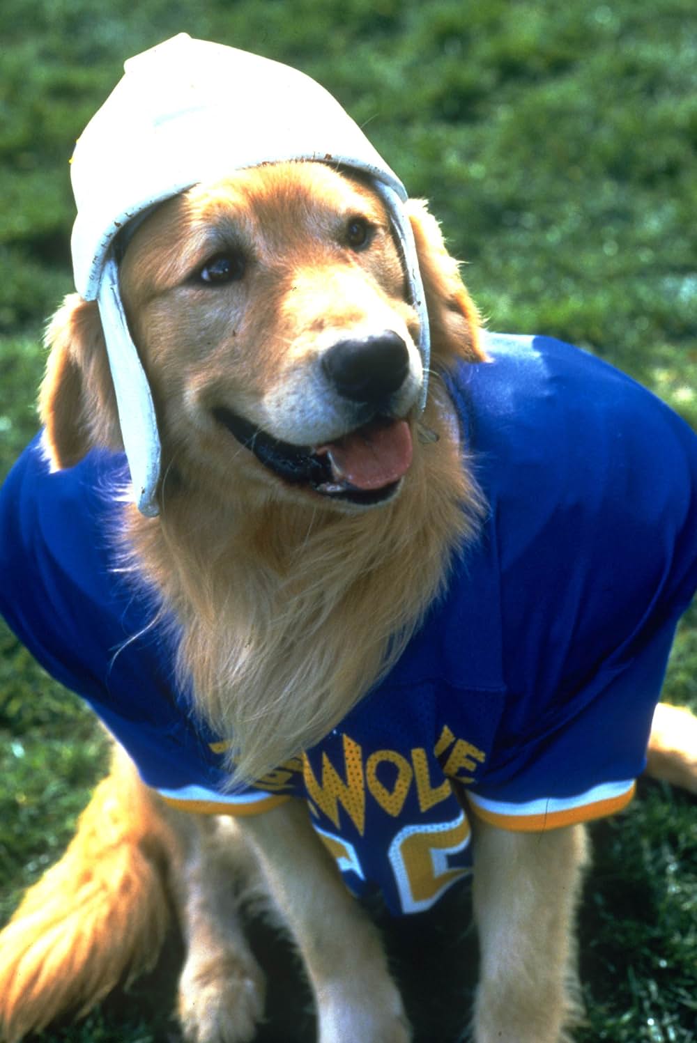 エア・バディ2の画像