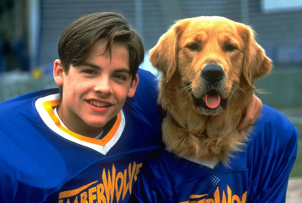 エア・バディ2の画像